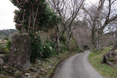 田舎道　3月・・・②