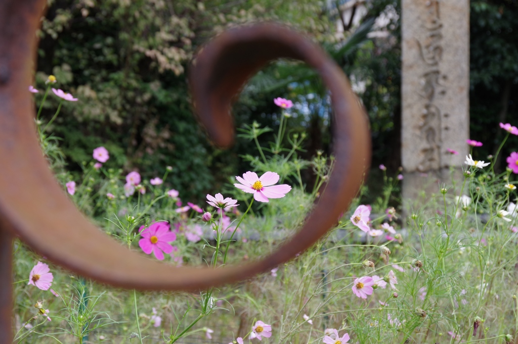 秋・般若寺にて・・・⑤