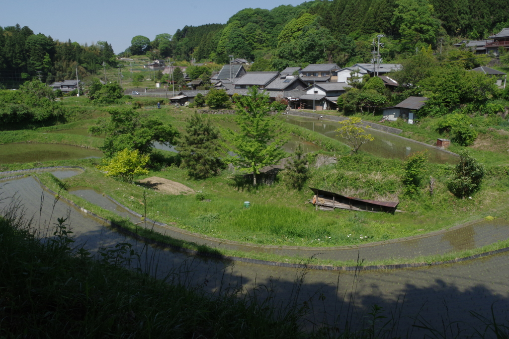 初夏……里の田んぼ③