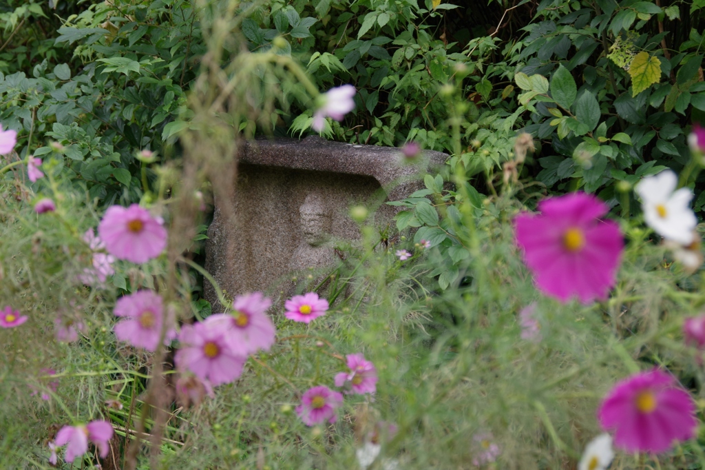 秋・般若寺にて・・・①