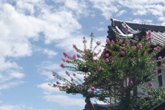 夏の空・・・興福寺南円堂④