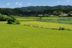 もうすぐ秋・・・④