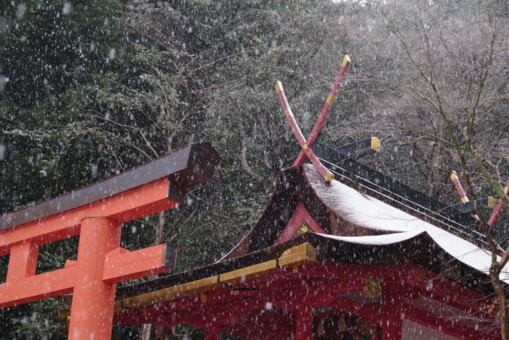 雪・春日大社にて・・・⑤