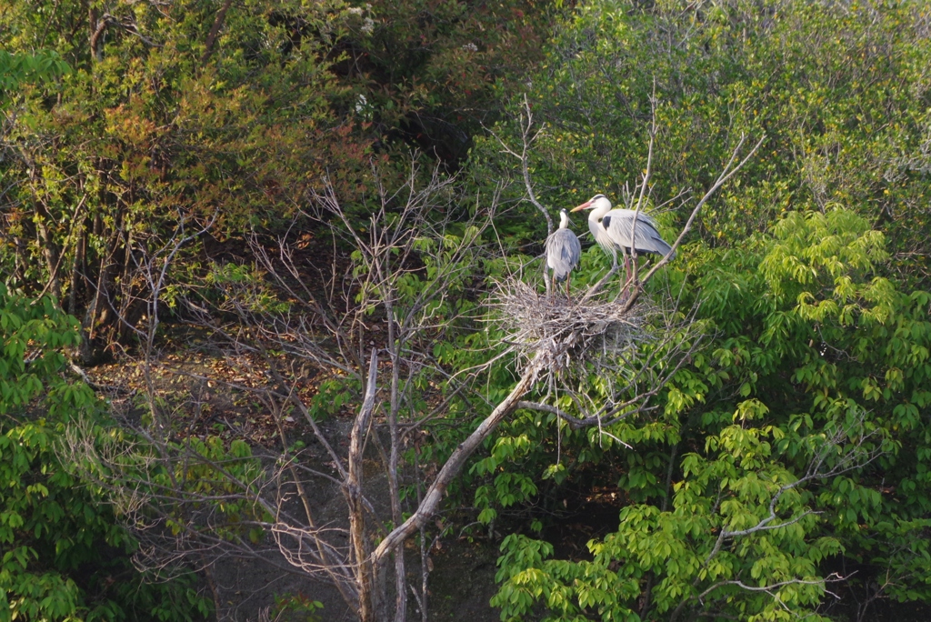 子育て中・・・①