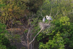 子育て中・・・①