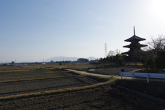 斑鳩・法起寺２月・・・④