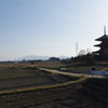 斑鳩・法起寺２月・・・④
