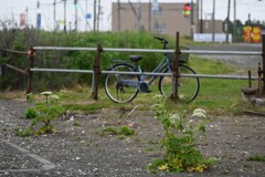 北浜駅にて⑦
