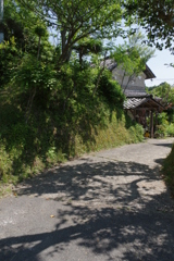 田舎道②