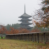 2017秋・・・奈良・興福寺⑤