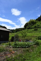 梅雨明け①