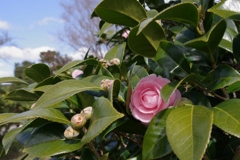 春近し・・・⑥