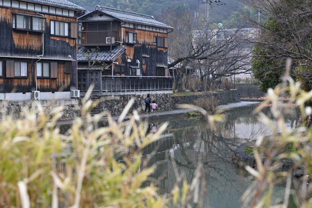 八幡掘（冬）・・・②