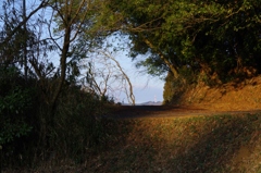 冬の田舎道・・・④