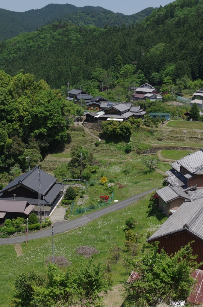 長閑
