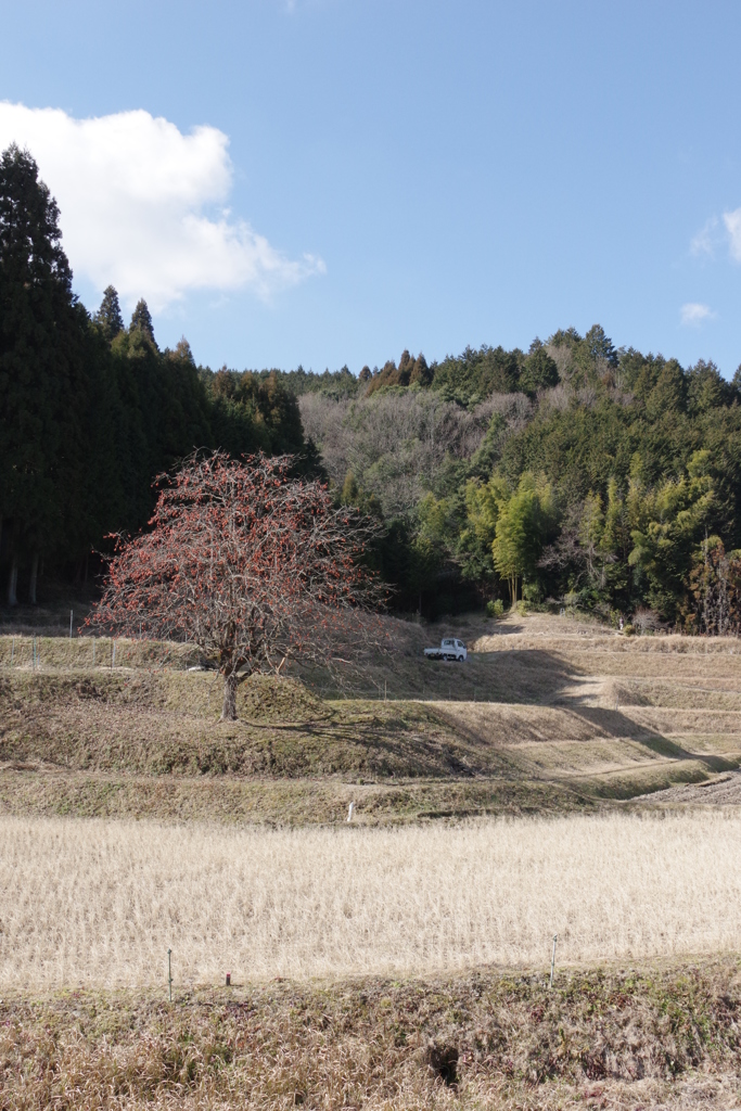 里の冬景色②