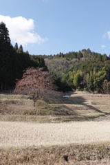 里の冬景色②