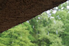 雨の日・・・②