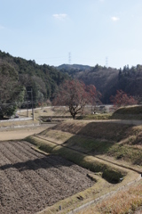 里の冬景色④
