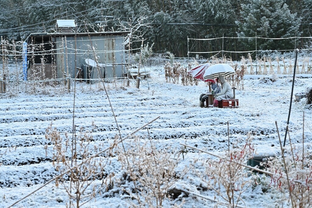 雪景色・・・③