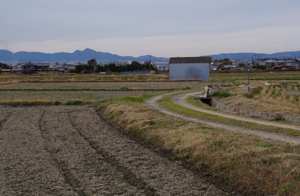 二上山遠景・・・④