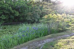 池・・・②