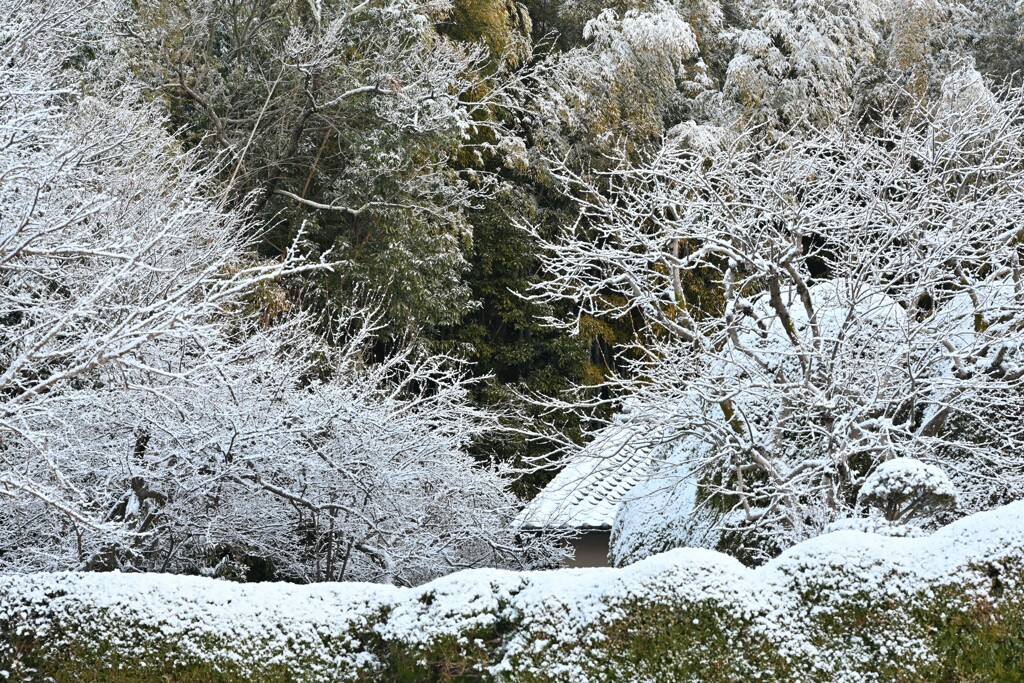 雪景色・・・④
