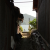 湖水を望んで。