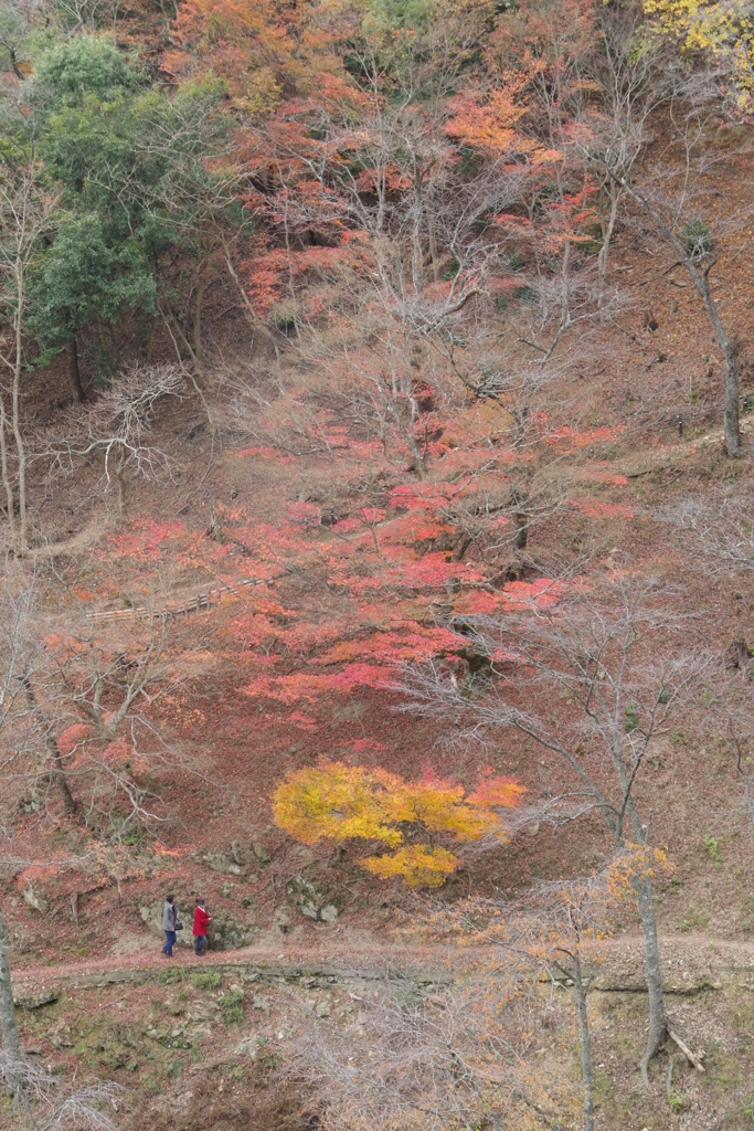 西行庵を訪ねて・・・③