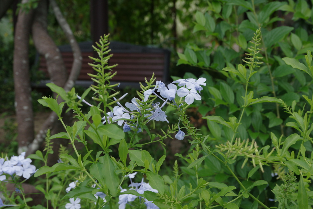 森をお散歩・・・③