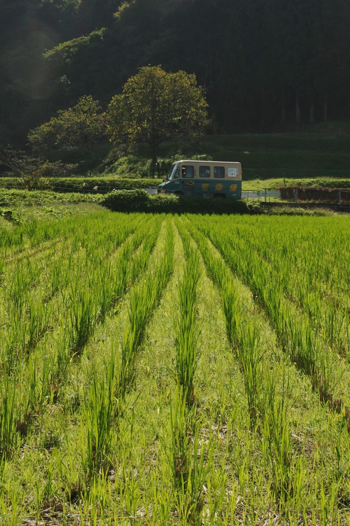 里の秋・・・田原③