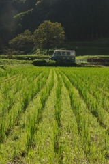 里の秋・・・田原③
