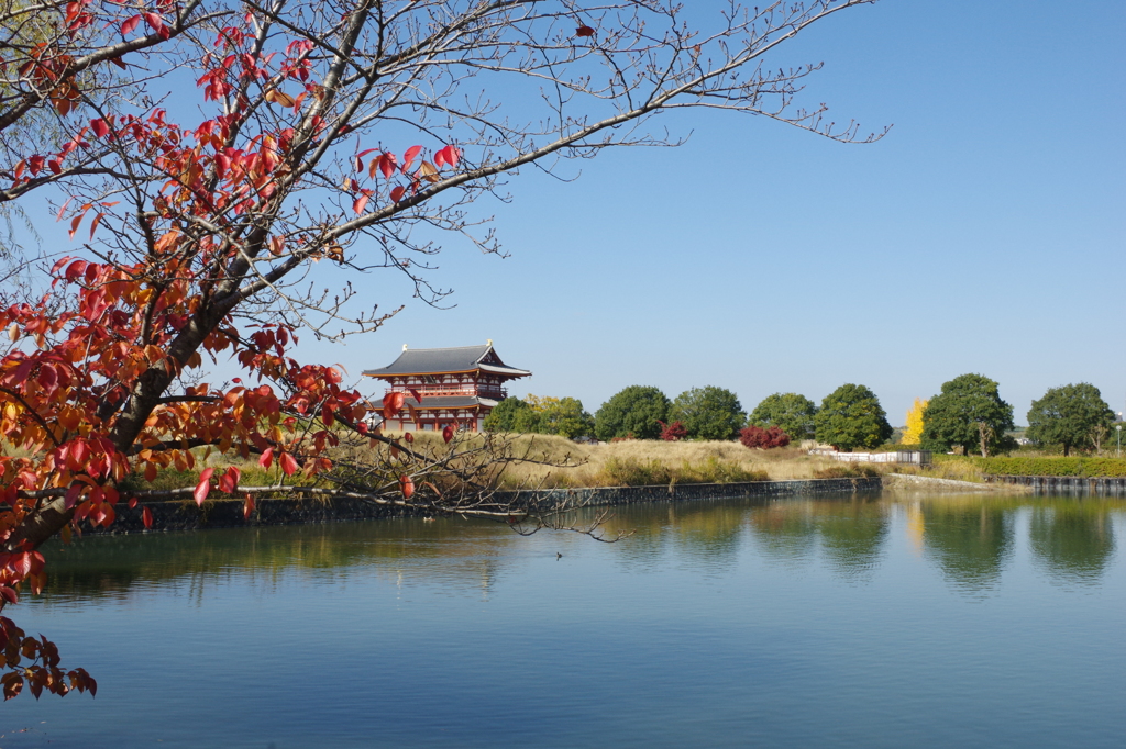 秋も、もうじき終わりそう。・・・平城宮跡①