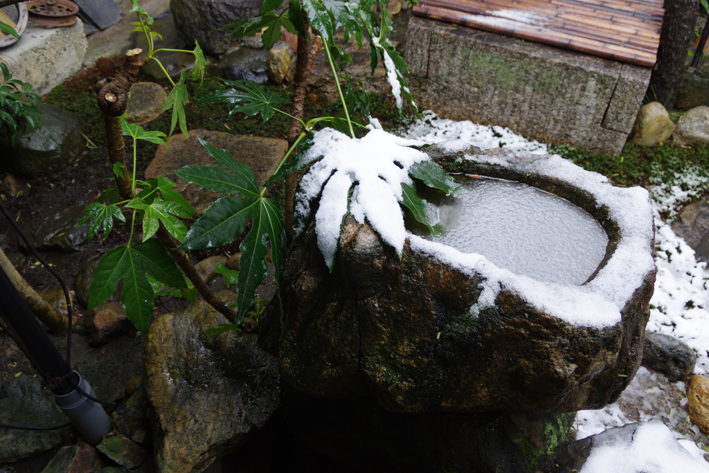 奈良町・雪④