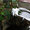 奈良町・雪④