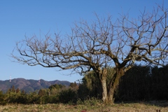 冬の田舎道・・・③