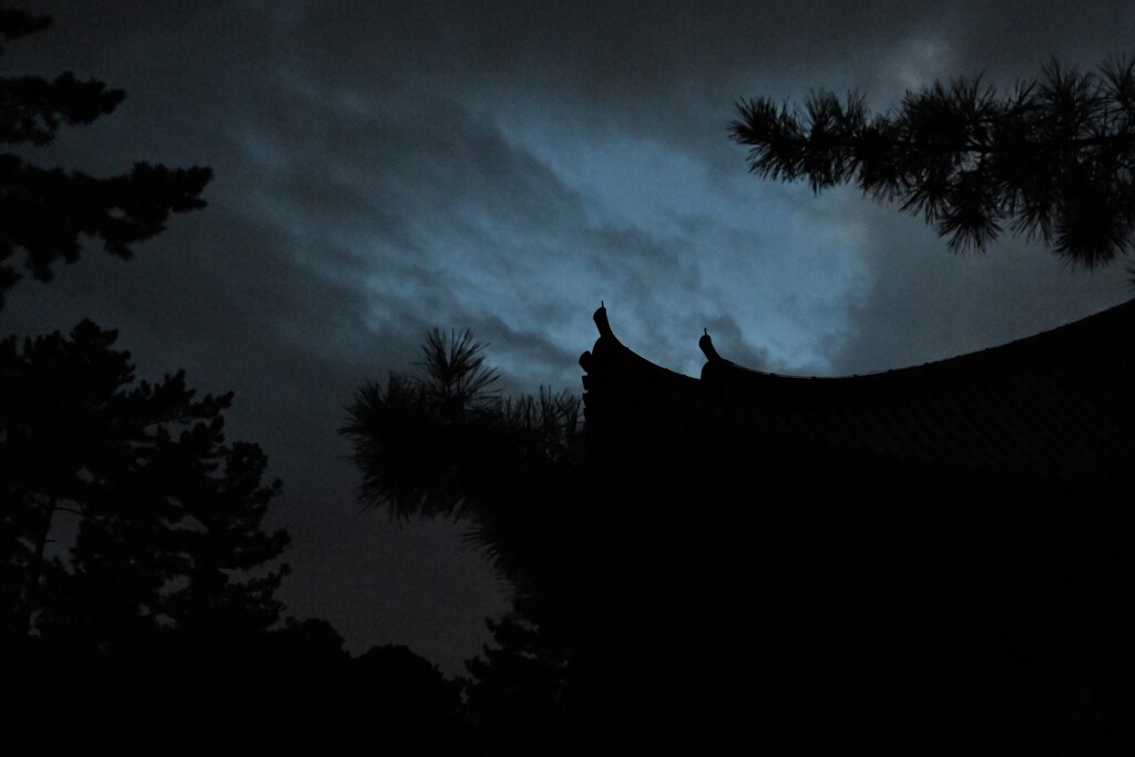 夜のお寺にて③
