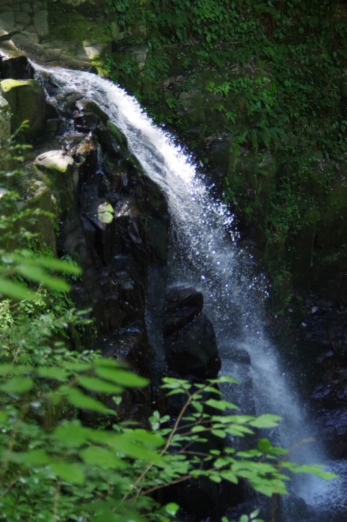 渓谷にて・・・⑨