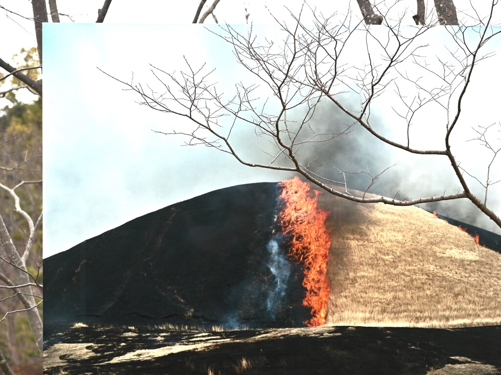 美術館にて・・・③
