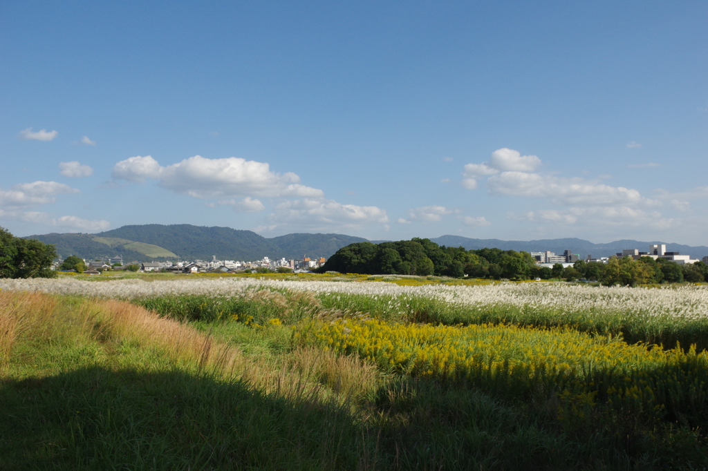 平城宮跡「秋」・・・東を望む。