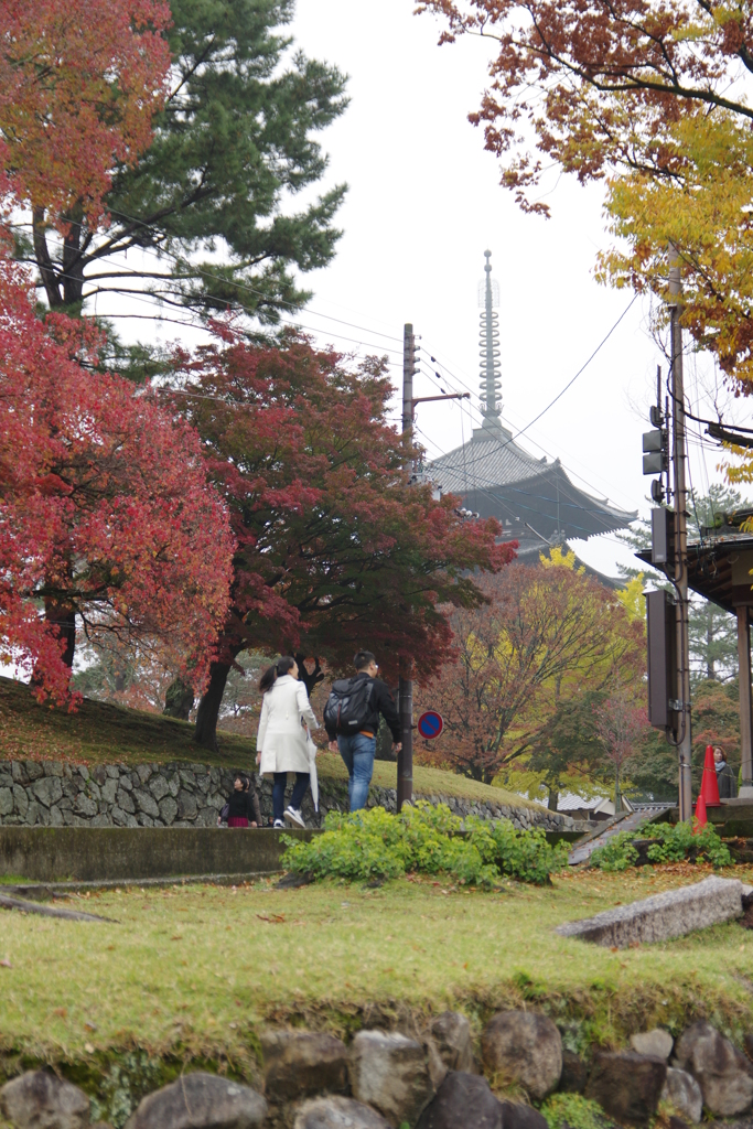 2017秋・・・奈良・興福寺①