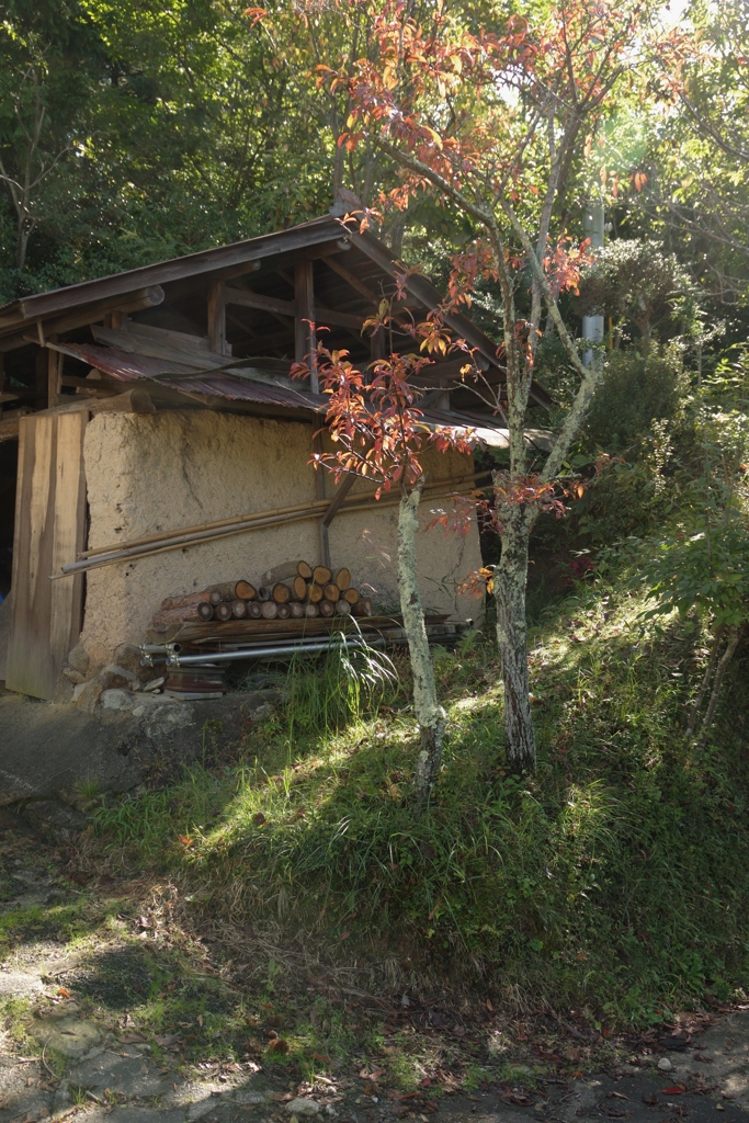 里の秋・・・田原④
