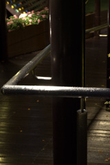 雨の情感・・・②