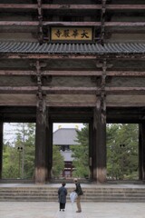 東大寺にて　4月・・・④