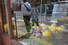 尾道４月・・・・・・⑩