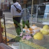 尾道４月・・・・・・⑩