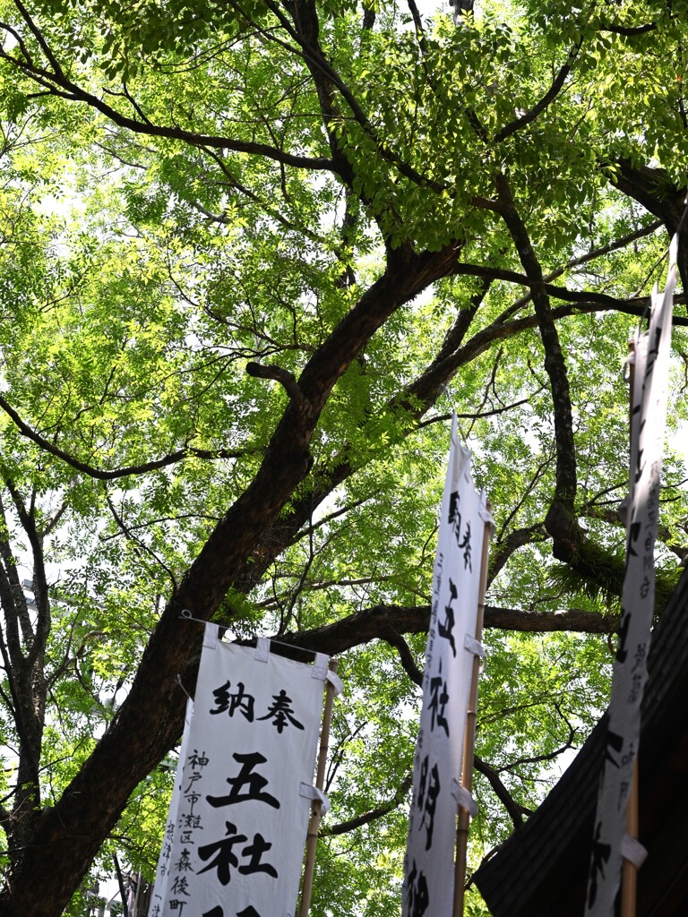 石切さん・・・③