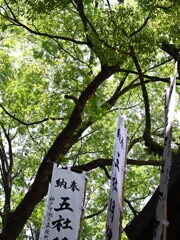 石切さん・・・③
