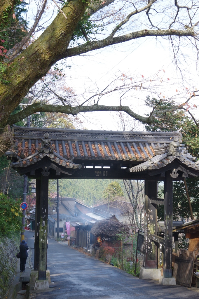 2017秋・・・吉野山⑦