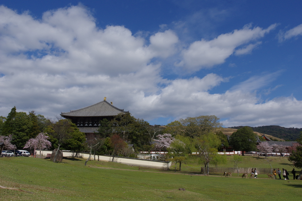 今年見た桜４月・・・・・・⑮